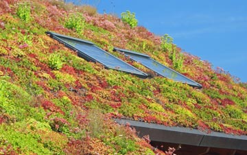 Postcombe living roof systems