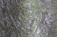 Postcombe fibreglass roof work